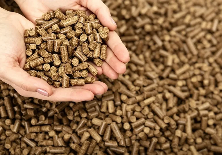 How to Improve EFB Pelletizing Efficiency
