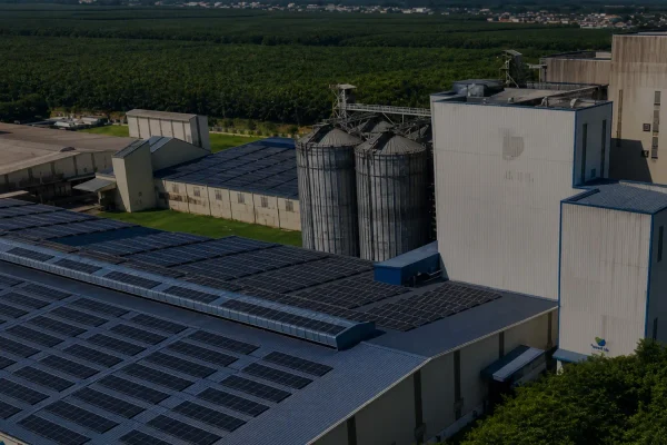 Aerial view of complete poultry and livestock feed production line, large scale animal feed mill factory